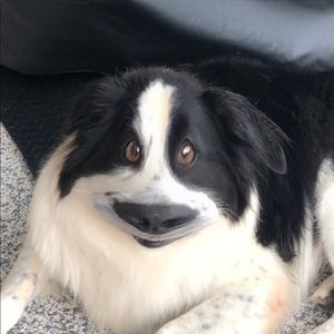 Meet your Posher, Crystal